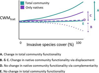 Trait-related functional changes in understory forest community after invasion are driven by complementarity rather than displacement